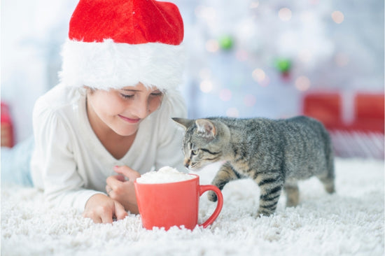 愛猫とともに楽しむ安全なクリスマス ～知っておきたい食材の選び方