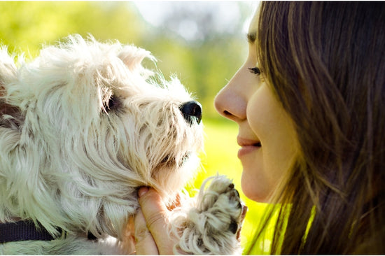 飼い主の性格は愛犬にどれくらい影響を与えているのか？