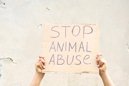 動物虐待の摘発件数が過去最高に。警察庁の発表からみえるペット共生社会のいまと未来